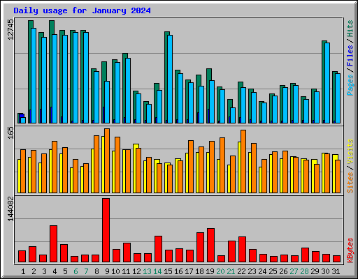 Daily usage for January 2024