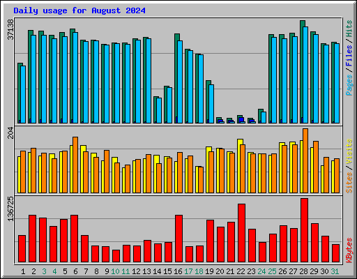 Daily usage for August 2024