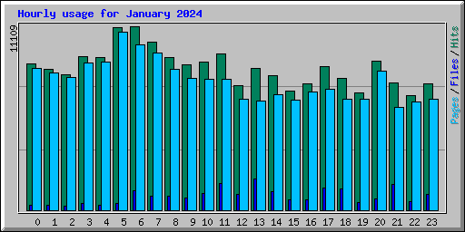 Hourly usage for January 2024