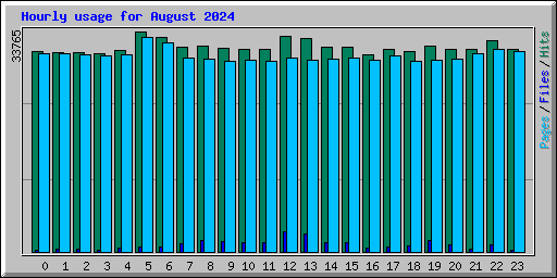 Hourly usage for August 2024