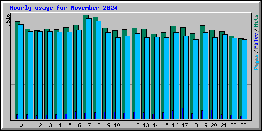 Hourly usage for November 2024