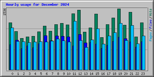 Hourly usage for December 2024